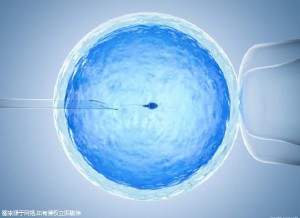 陈医生